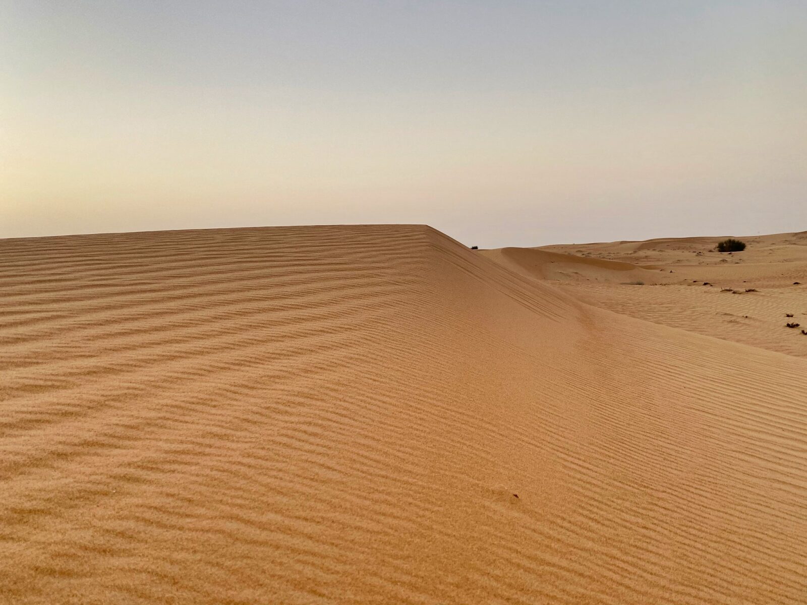 Dubai Desert Conservation Reserve