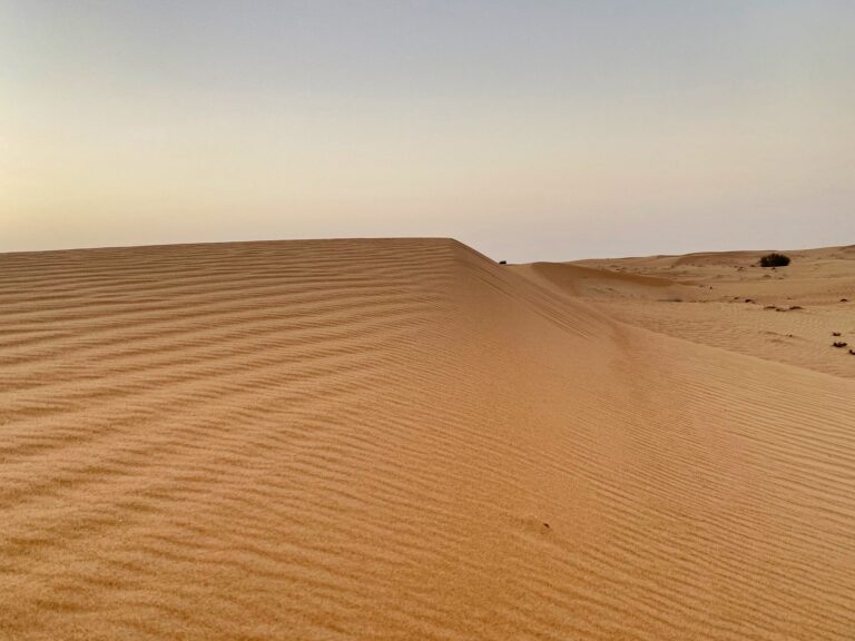 Dubai Desert Conservation Reserve